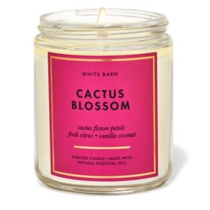 🌵🌺 Bath & Body Works Cactus Blossom Candle